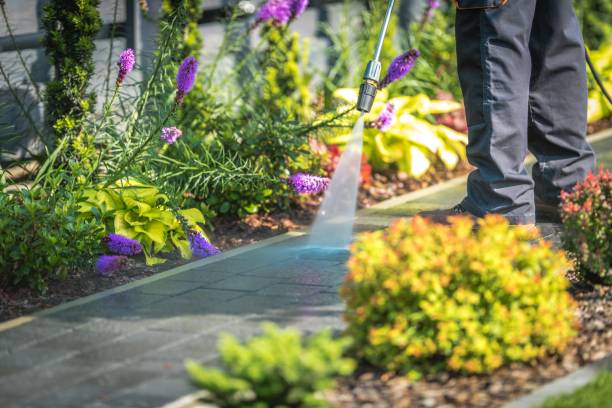 Best Soft Washing  in Wappingers Falls, NY